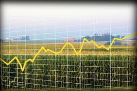 Market Price Predictions